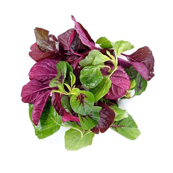 10-1 Rau Dền Hữu cơ (250g) - Ảnh 1